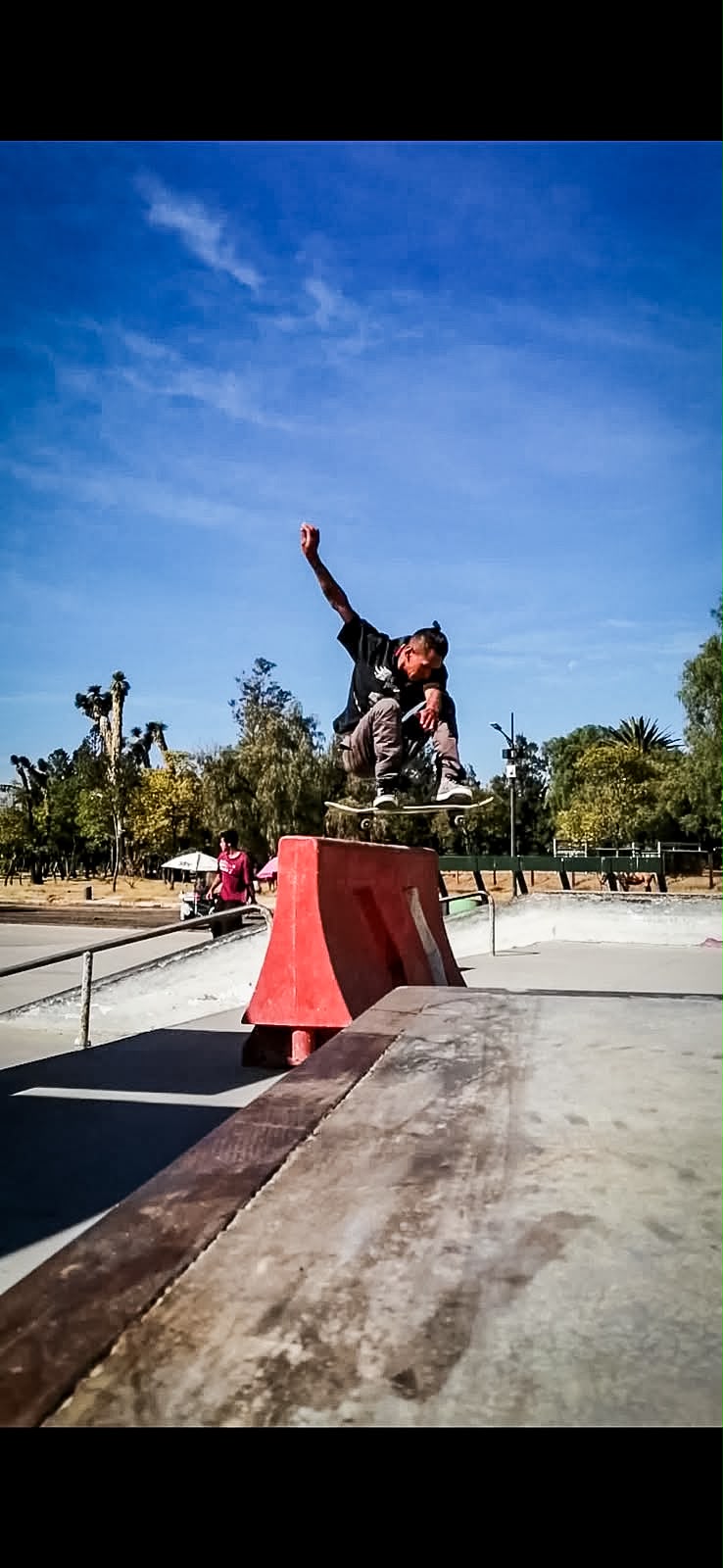 Patineta y bosque
